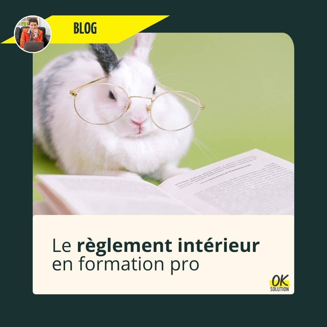 image d'un lapin drôle avec des lunettes lisant un livre pour illustrer l'article de blog d'ok solution sur le règlement intérieur