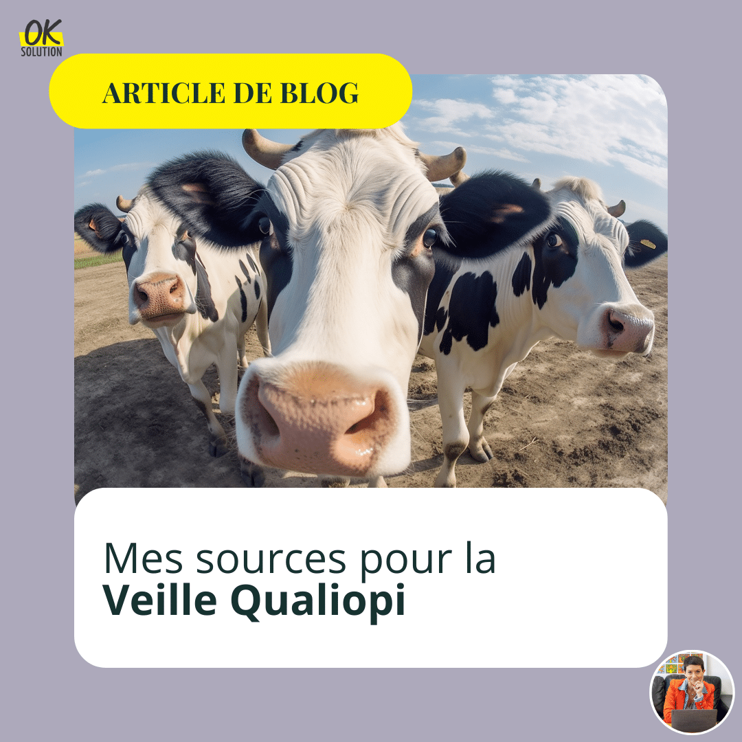 sources de veille qualiopi - article de blog ok solution - vache en gros plan !