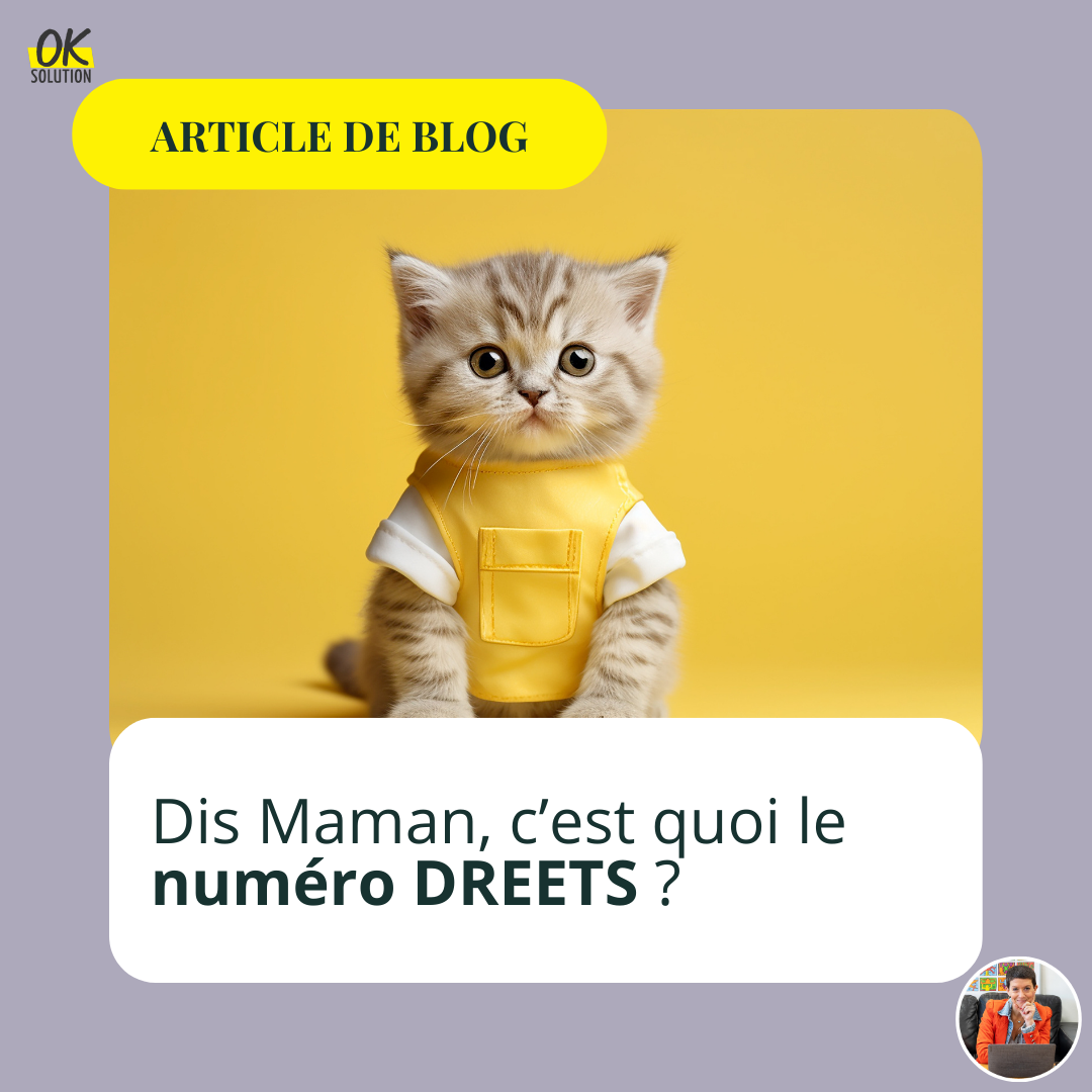 c'est quoi le numéro DREETS blog ok solution
