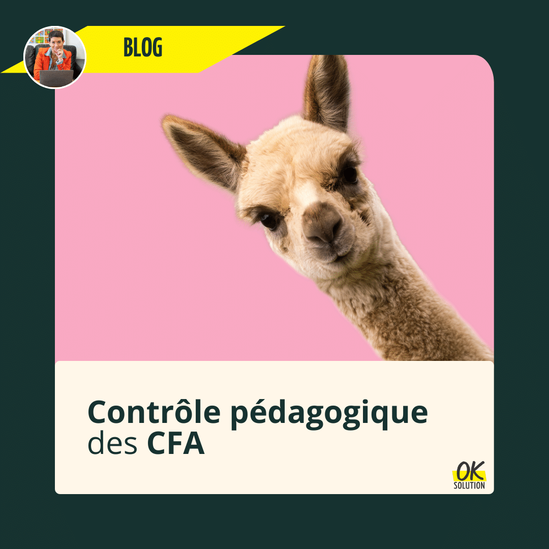 image d'un animal drôle pour illustrer l'article de blog d'ok solution sur le contrôle pédagogique des CFA