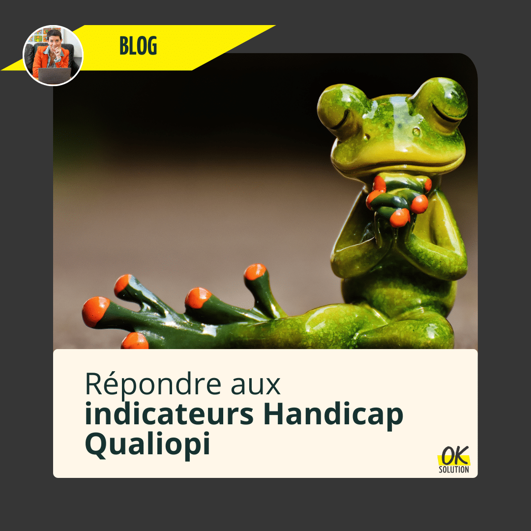 image d'un animal drôle pour illustrer l'article de blog d'ok solution sur les indicateurs Handicap Qualiopi